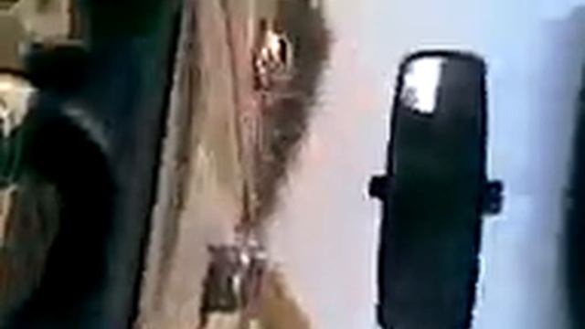 Дания. Дорога на сбор ягод в Швеции смотреть онлайн
