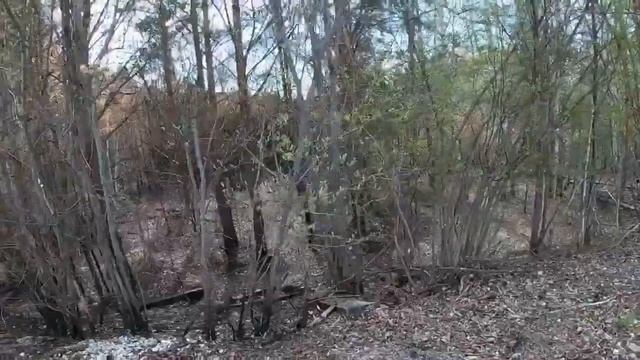 Майская Прогулка 2022 || Екатеринбург || 33 км за 7 минут смотреть онлайн