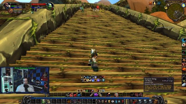 Let's Play Classic WoW - Dwarf Hunter - The Altar of Zul - Ep.149 смотреть онлайн