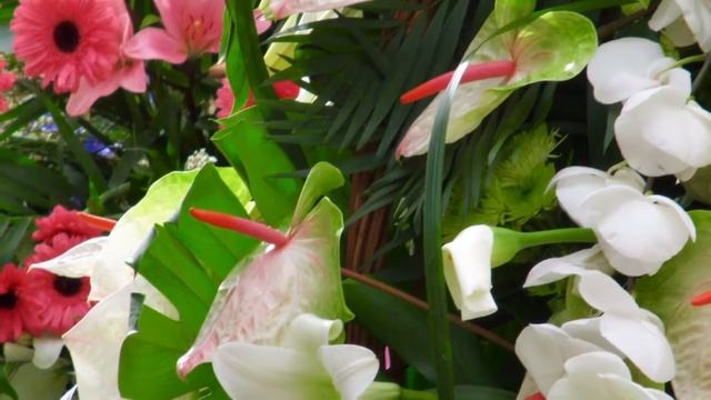 Цветочная мартовская Офренда, Файяс 2018.Валенсия, Испания. Ofrenda, Fallas 2018, Valencia; España смотреть онлайн