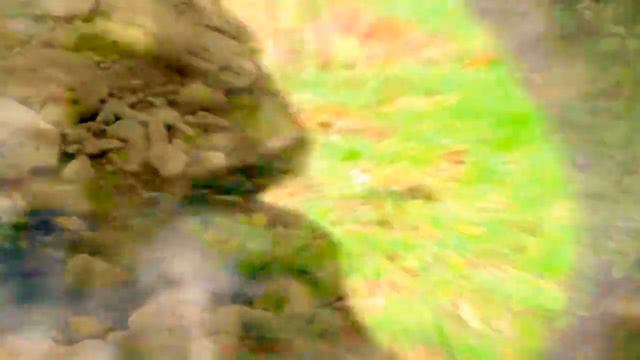 GLÜCK ORFEO ed EURIDICE JEAN PIERRE RAMPAL Flute смотреть онлайн