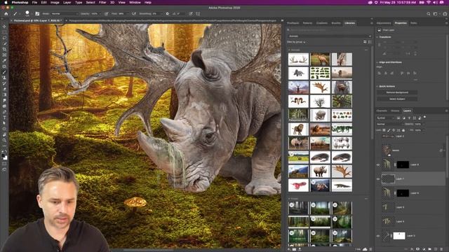 Fictional fantastic hybrid animals in Photoshop. Live now! смотреть онлайн