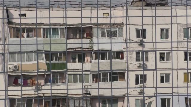 Птица и зеркало. смотреть онлайн