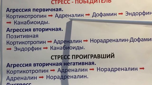 Клетка стресс - победитель (Президент федерации Природного движения тела- Литвиченко Л.В.) смотреть онлайн