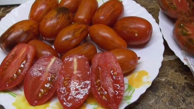 Томатные Гномы, проверенные временем. Гном Бой с тенью - универсальный сорт томата. Дегустация. смотреть онлайн