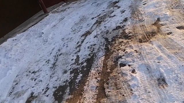 Утренняя прогулка и стерилизация двух бездомышей Бониты и Толяши. смотреть онлайн