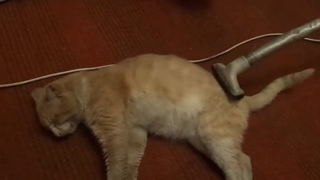 филька массаж пылесосом смотреть онлайн