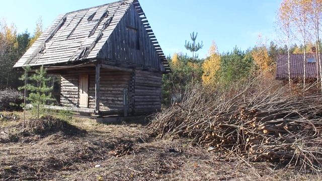 Стоит ли расчищать участки Зимой? Какой снежный покров допустим для вырубки участка. смотреть онлайн