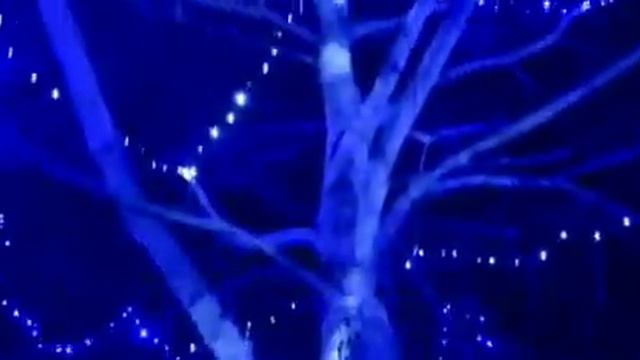 Новогоднее оформление территории базы "paskivka". смотреть онлайн