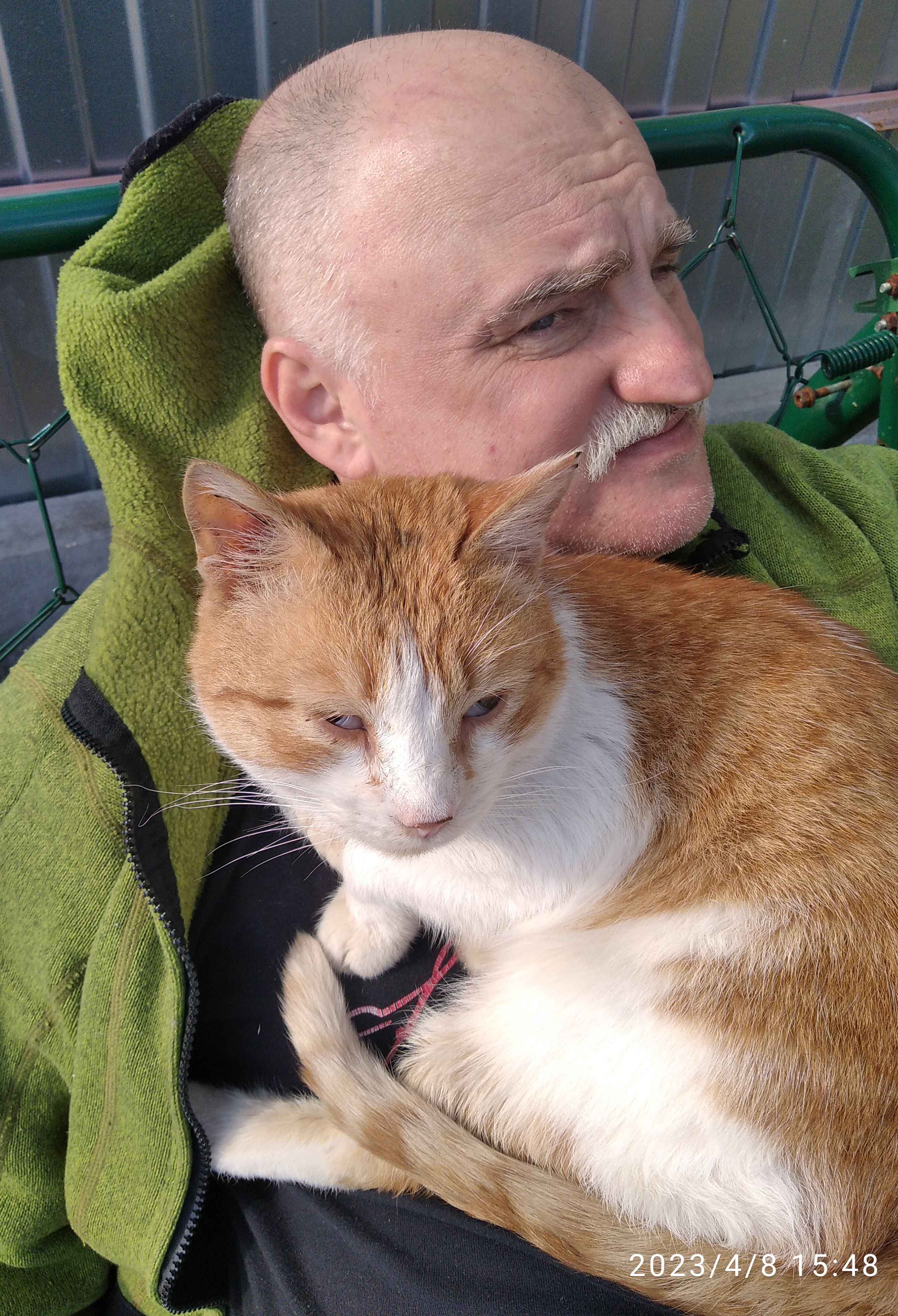 Коты снимают усталость. Обзор работ по модернизации выгулов для птицы. смотреть онлайн