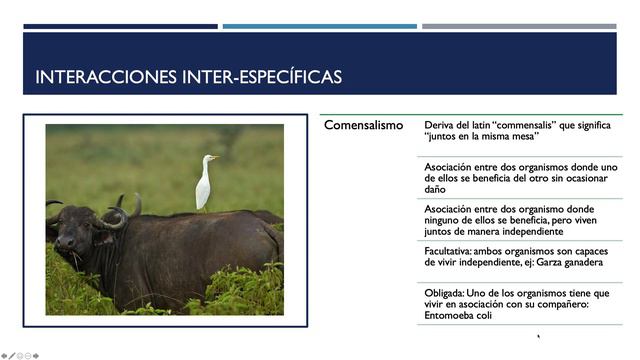 2. Generalidades Parasitología. Parte 1 смотреть онлайн