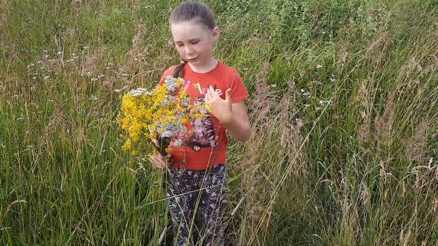 Стихотворение "Полевые цветы" смотреть онлайн