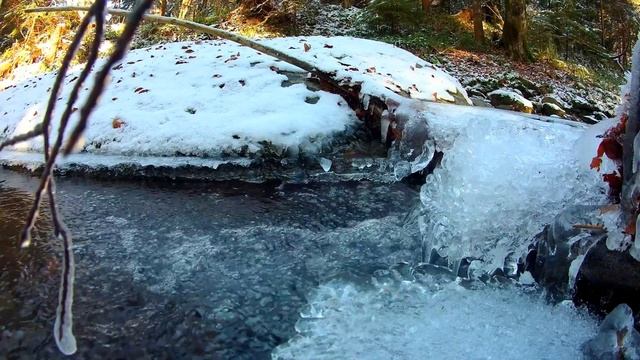 Релакс. Ручей и пение птиц.