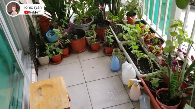 水牙線 - Waterpulse 健適寶 便携式沖牙器 смотреть онлайн