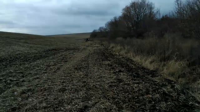 Олень из мелкашки со 150 метров. смотреть онлайн