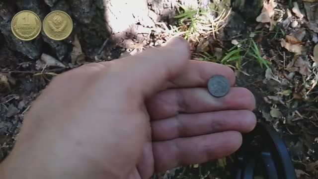 Коп 2020. Старый лес. Немного монет. ACE250 (MD6250)