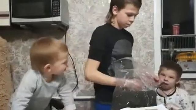 Вешенки в коробке.Часть вторая. смотреть онлайн