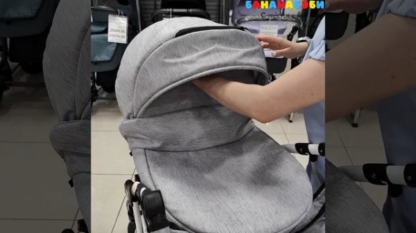 Коляска Alis BERTA 2в1