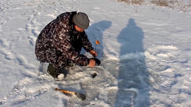 Окунь на жерлицу.Смородинское водохранилище.3ч смотреть онлайн