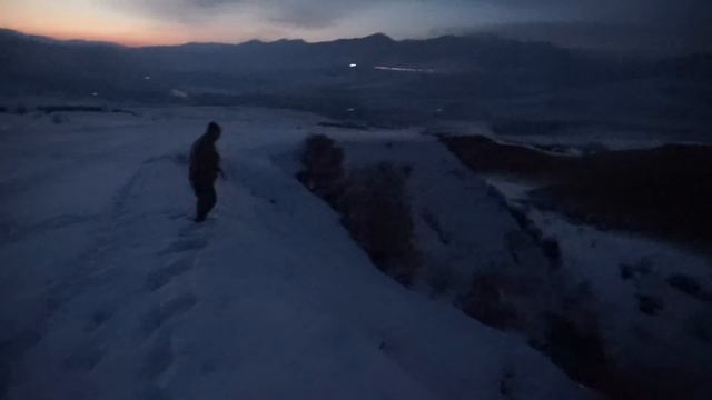 Возвращались с охоты, увидели на дороге волка смотреть онлайн