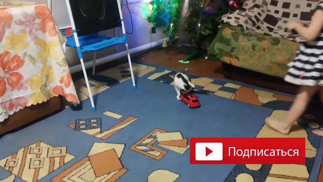 Ужасы деревни. Дорог нет. Жарим семечки. Это вам не Казахстан. смотреть онлайн