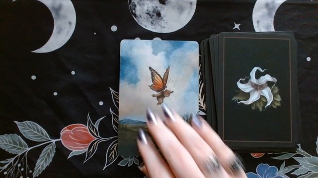 Into the Lonely Woods Oracle Deck Flip Through смотреть онлайн