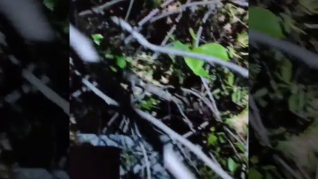 Дачные посиделки ? Как я кур покупал ? смотреть онлайн