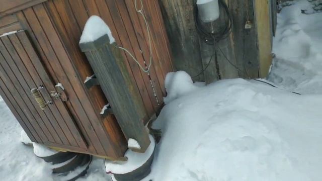 коптим толстолобика холодного копчения в коптильне мечта гурмана смотреть онлайн