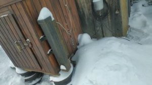 коптим толстолобика холодного копчения  в коптильне мечта гурмана