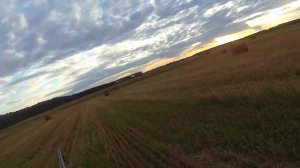 Охота на лису! Манок (Крик раненого зайца).