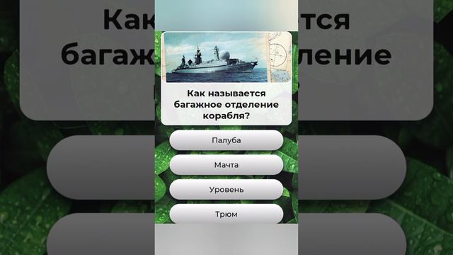 Как называется багажное отделение корабля??? смотреть онлайн
