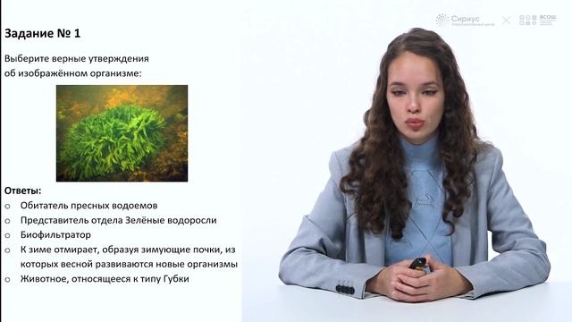 Разбор заданий школьного этапа ВсОШ 2023 года по биологии, 9 класс, 3 группа регионов смотреть онлайн