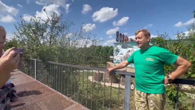 Сегодня БЕБИ ДЕНЬ, уже вторая львица за утро РОДИЛА МАЛЫШЕЙ! смотреть онлайн