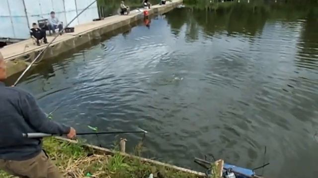 Платная рыбалка Пирогово - Коргашино смотреть онлайн