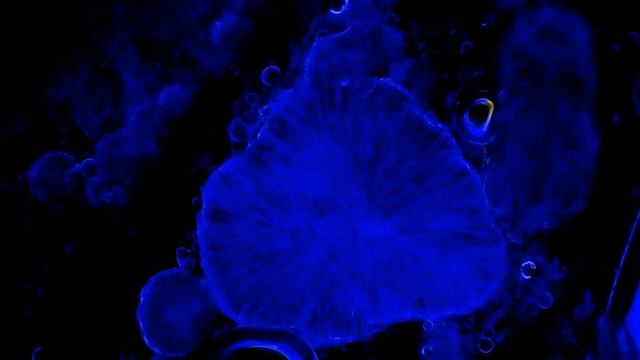 Рост грибка в кокосовом масле. slw2022 11 12 18 59 03 смотреть онлайн