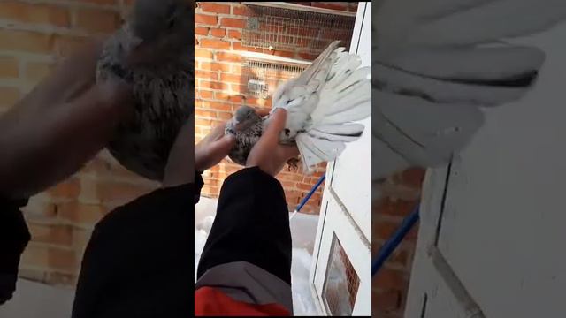 Мраморные смотреть онлайн