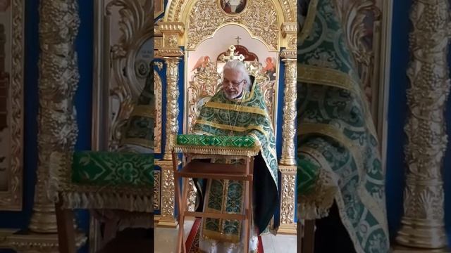 Проповедь настоятеля протоиерея Алексия Калякина на Праздник Святой Троицы 12 06 22 смотреть онлайн