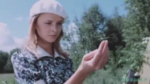 Жди меня, родная.   Стас Михайлов