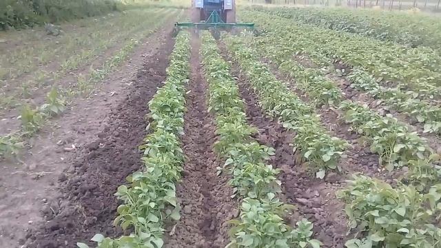 Ежи для обработки междурядий. Борона ротационная КОН-2.8. смотреть онлайн