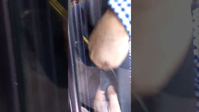 Audi A3 8l / Golf mk4 Door Panel Remove & Speaker Upgrade смотреть онлайн
