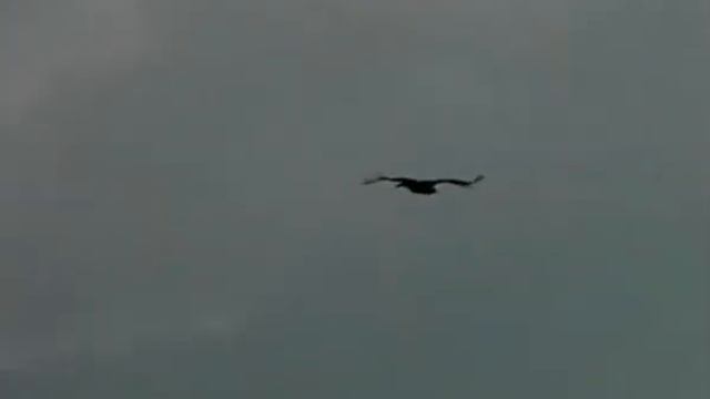 Победа Давида над Голиафом. Закон Божий, ч. 145 смотреть онлайн