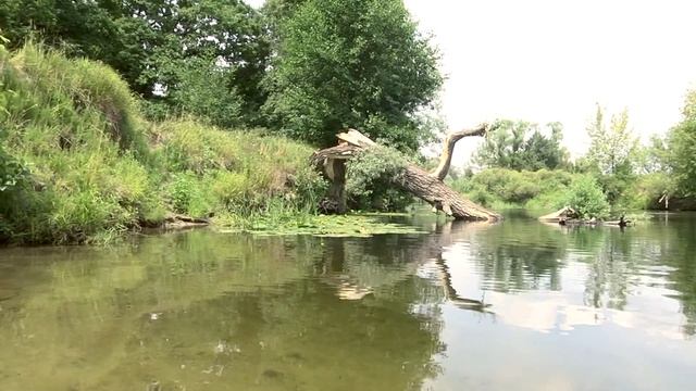 День на реке Воронеж смотреть онлайн