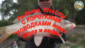 Рыбалка. СНАСТИ С КОРОТКИМИ ПОВОДКАМИ ловят карпа и амура.