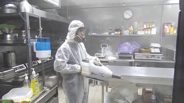 Демеркуризация Дезинсекция, дезинфекция, акарицидная обработка город Бор смотреть онлайн