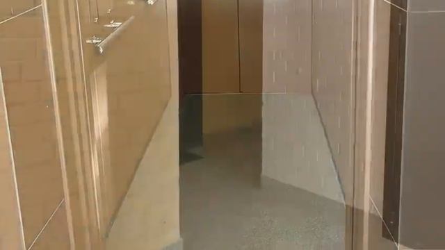 Однокомнатная квартира площадью 31,9 кв. м. ЖК «Осановские зори» корпус Б. смотреть онлайн