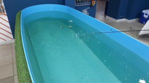 Обзор снастей №4 Jackall Jockei 120