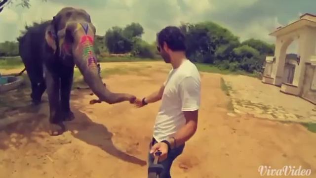 Вот как нужно делать селфи•Here's how to do selfie смотреть онлайн