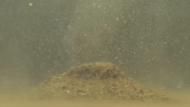 Готовая зимняя смесь "Dunaev" мих плотва лещ мотыль смотреть онлайн