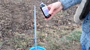 Способы защиты деревьев и молодых саженцев от зайцев и солнечных ожогов