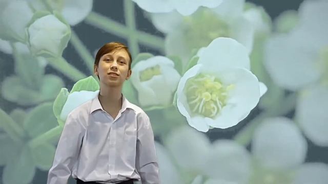 ВЕСЕННИЕ ВОДЫ Ф И Тютчев смотреть онлайн